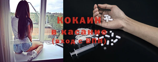 сатива Абаза