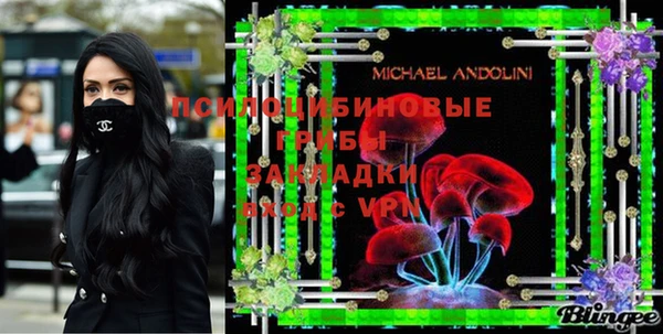 мет Няндома