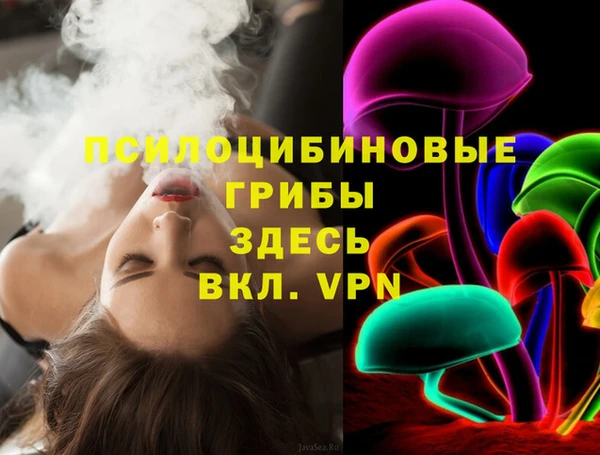 PSILOCYBIN Абинск