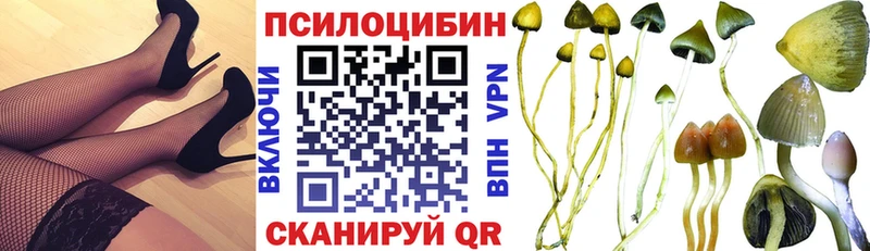 Псилоцибиновые грибы Magic Shrooms  даркнет какой сайт  Игарка 